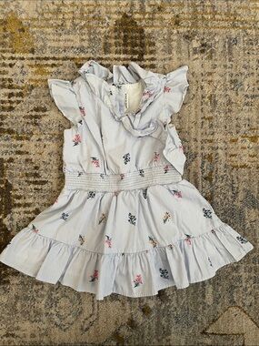 Janie and Jack pale blue floral striped ruffle dress size 12-18 months
